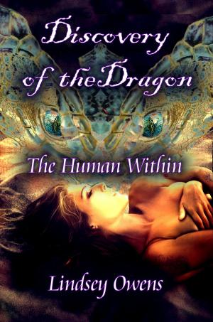 Book cover of Discovery of the Dragon