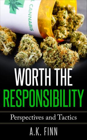 Cover of the book Worth the Responsibility (Perspectives and Tactics) by Dr. David Mc Dermott