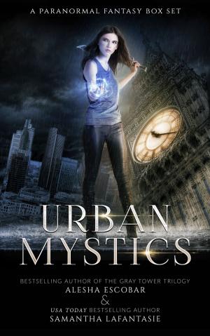 Cover of the book Urban Mystics Box Set by Aaron Mullins