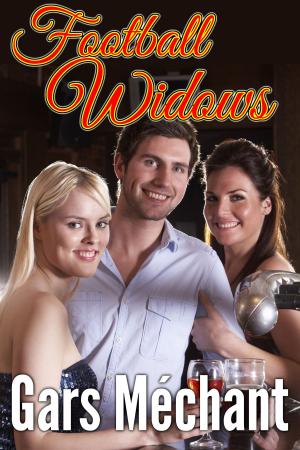 Cover of the book Football Widows by CJ Fox