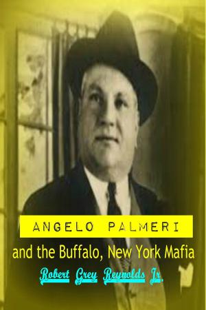 Book cover of Angelo Palmeri and the Buffalo, New York Mafia