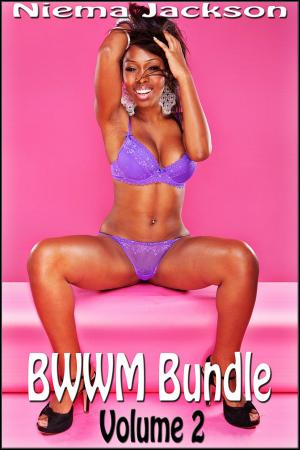 Cover of the book BWWM Bundle: Volume 2 by Niema Jackson