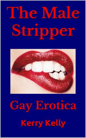 Cover of the book The Male Stripper: Gay Erotica by Kerry Kelly