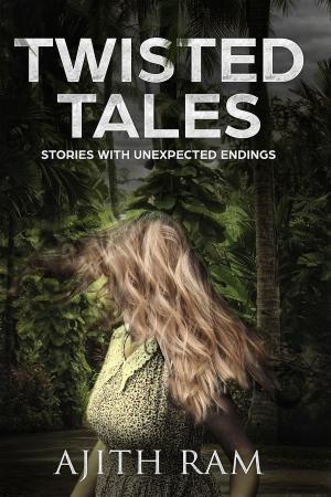 Cover of the book Twisted Tales by Amelia Anderson
