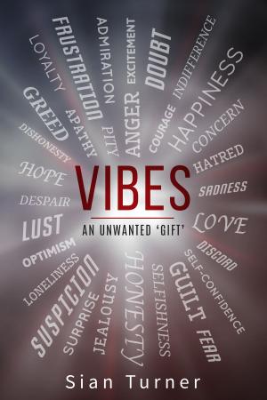Book cover of Vibes