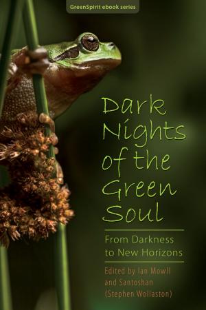 Cover of Dark Nights of the Green Soul: From Darkness to New Horizons