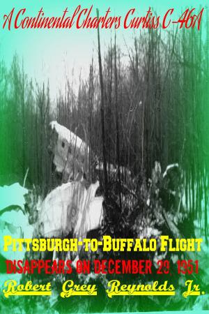 bigCover of the book A Continental Charters C-46A Pittsburgh to Buffalo Flight Disappears on December 29, 1951 by 