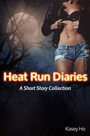 Cover of the book Heat Run Diaries by Dark Rider
