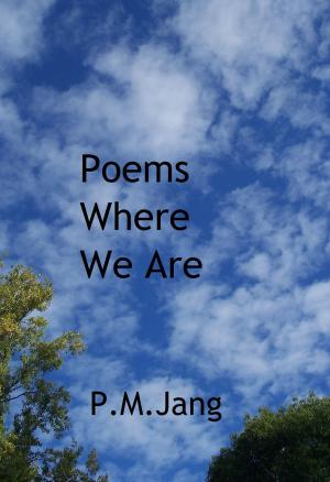 Cover of the book Poems Where We Are by Shan Fazelbhoy