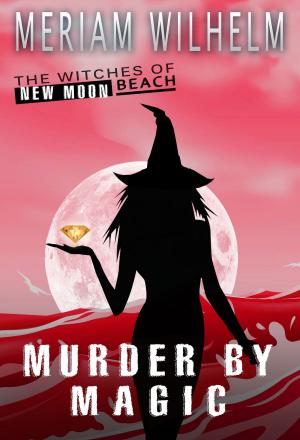 Cover of the book Murder By Magic by J.B. Dusk
