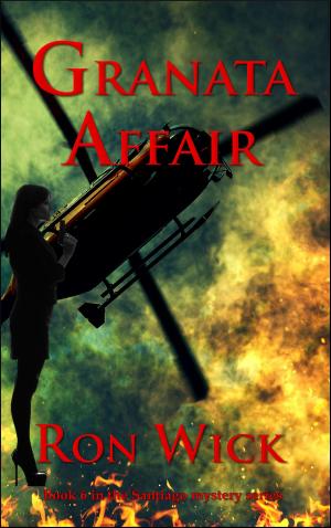 Book cover of Granata Affair