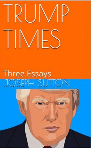 Cover of the book Trump Times: Three Essays by Jett Miles