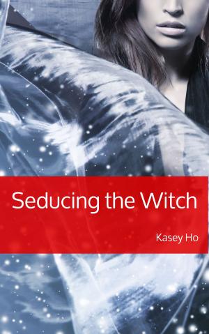 Book cover of Seducing the Witch
