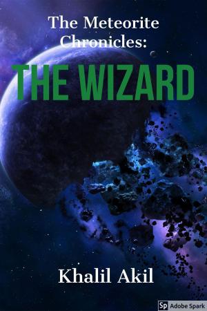 Book cover of The Meteorite Chronicles: The Wizard