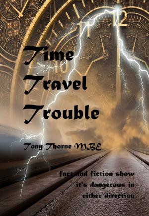 Cover of the book Time Travel Trouble by J.T. Rothing