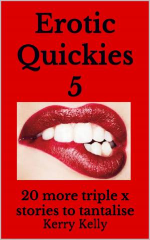 Cover of the book Erotic Quickies 5: 20 More Triple X Stories To Tantalise by Kerry Kelly