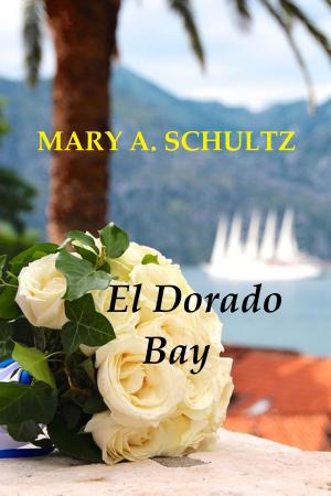 Cover of the book El Dorado Bay by D.S. Renzulli