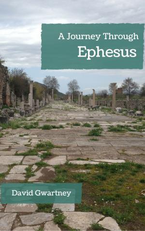 Cover of the book A Journey Through Ephesus by Ahmad Faris al-Shidyaq, Humphrey Davies