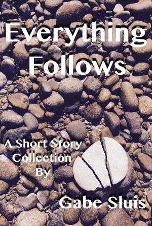 Book cover of Everything Follows