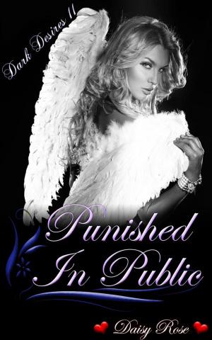 Book cover of Punished In Public
