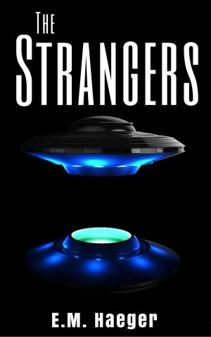 Cover of the book The Strangers by Dorothy Piper