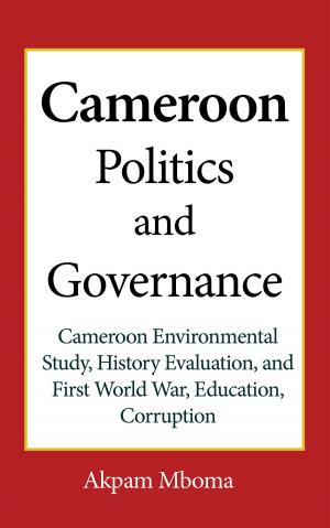 Cover of the book Cameroon Politics and Governance by Vincent Lawal