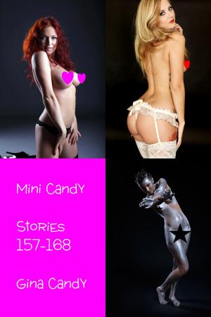 Cover of the book Mini Candy: Stories 157-168 by Tabby Lexus