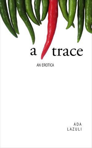 Cover of the book A Trace by Fernando Pessoa, Maria Helena Nery Garcez