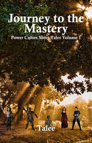 Cover of the book Journey To The Mastery by Jeff Smith