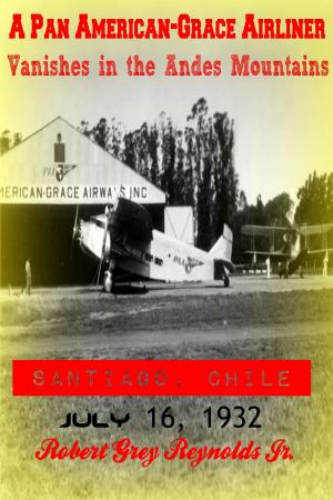 bigCover of the book A Pan American-Grace Airliner Vanishes in the Andes Mountains Santiago, Chile July 16, 1932 by 