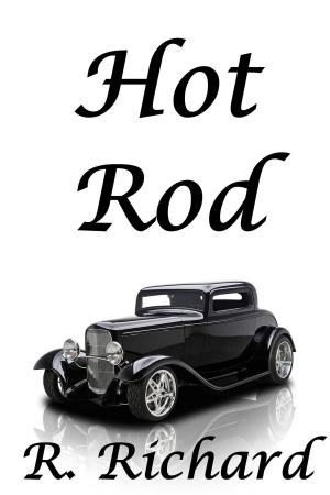 bigCover of the book Hot Rod by 