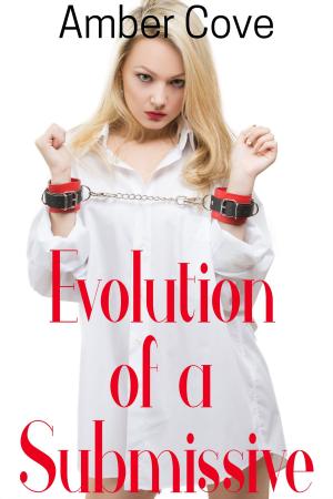 Cover of the book Evolution of a Submissive by Andi Binks