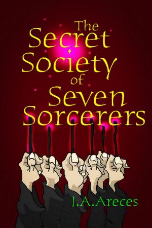 Cover of the book The Salem Concord Book 2: The Secret Society of Seven Sorcerers by M. Lauryl Lewis