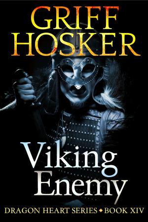 Book cover of Viking Enemy