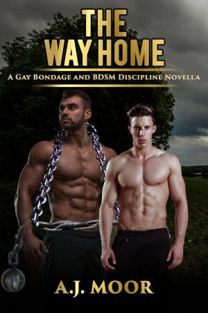 Cover of the book The Way Home by A.J. Moor