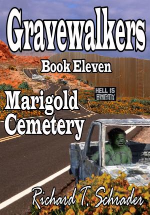 Book cover of Gravewalkers: Marigold Cemetery