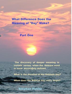 bigCover of the book What Difference Does the Definition of 'Day' Make? by 