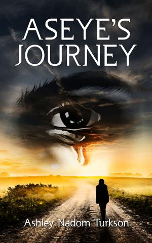 Cover of the book Aseye's Journey by Susan Brown and Anne Stephenson