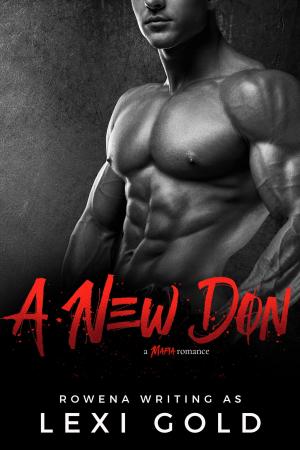 Cover of the book A New Don by Ariel Storm