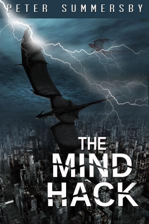 Cover of the book The Mind Hack by Chris A. Jackson