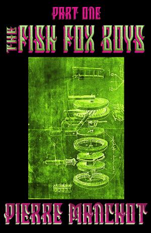 Cover of The Fish Fox Boys
