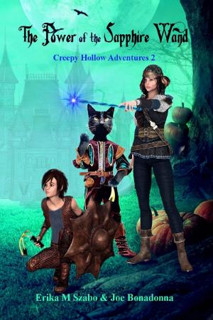Cover of the book The Power of the Sapphire Wand by delly