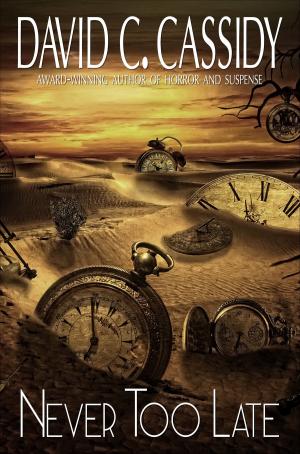 Cover of the book Never Too Late by Eric M Larson