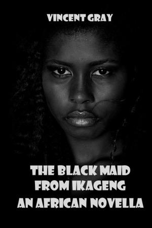 Cover of The Black Maid from Ikageng. An African Novella.