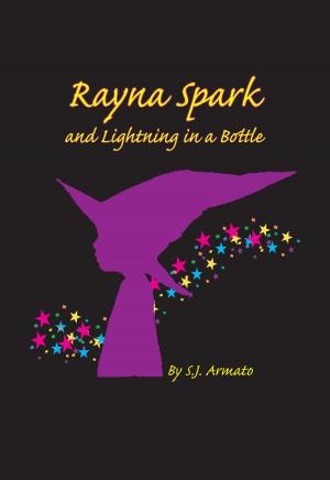 Cover of the book Rayna Spark and Lightning in a Bottle by Johnny Dod