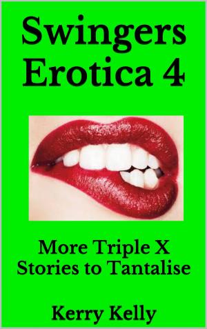 Book cover of Swingers Erotica 4: More Triple X Stories to Tantalise