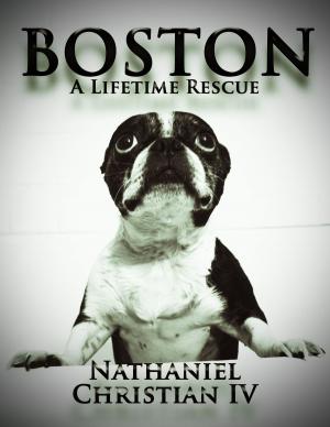 Cover of the book Boston: A Lifetime Rescue by James Fenimore Cooper, JB Defauconpret