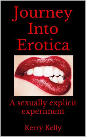 Cover of the book Journey Into Erotica: Book One by Kerry Kelly