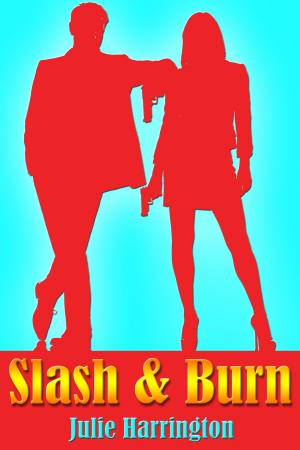 Cover of the book Slash & Burn by Claudia Burgoa