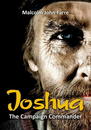 Cover of the book Joshua The Campaign Commander by Barbara Gulbranson